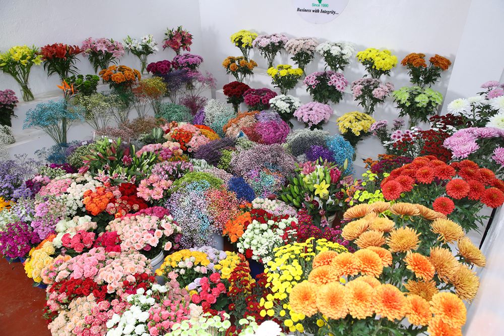 Wholesale